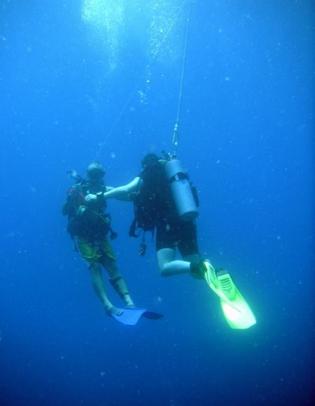 diving internship