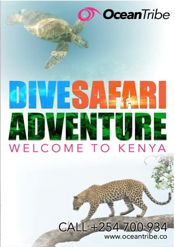 Dive Safari Packages in Kenya