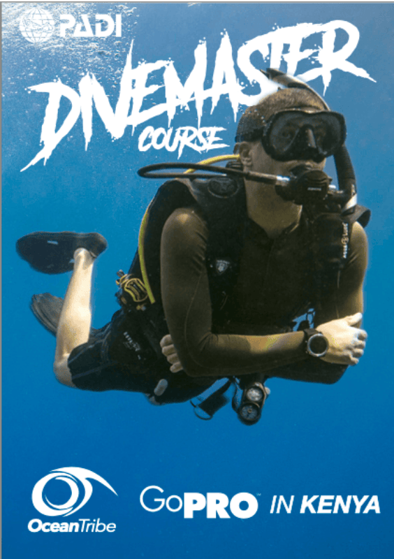 PADI Divemaster Course in Kenya