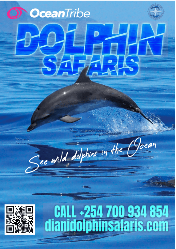 Dolphin Safaris in Diani