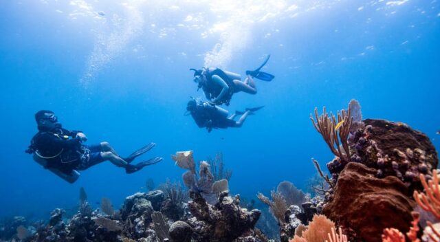 PADI Divemaster Conducted Programs